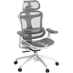 Office chair Sihoo Doro C300 L-A3-002 Ergonomic white