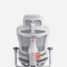 Kancelářská židle Sihoo Doro C300 L-A3-002 Ergonomická bílá