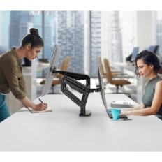 Due monitor forzando il monte FM4546, 15-42 '', fino a 20 kg