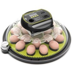 Incubateur pour œufs de triocottage, sur 18 œufs, bougie et thermomètre