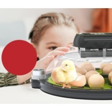 Incubadora para huevos de triocotaje, en 18 huevos, velas y termómetro