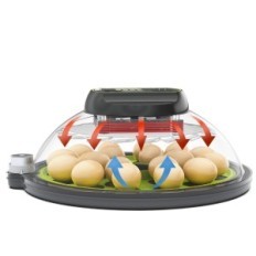 Incubator voor trioCottage-eieren, op 18 eieren, kaars en thermometer