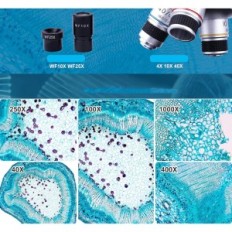 Microscope binoculaire LAKWAR 40X-1000X avec support de téléphone