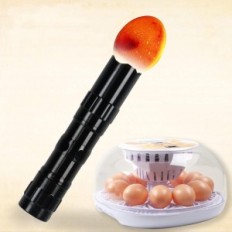 Inkubator automatisk maxawe modell 12, 2 egg