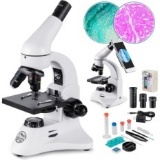 Microscopio MS-2000 BEBANT, 100x-2000X, trípode de teléfono inteligente, linterna