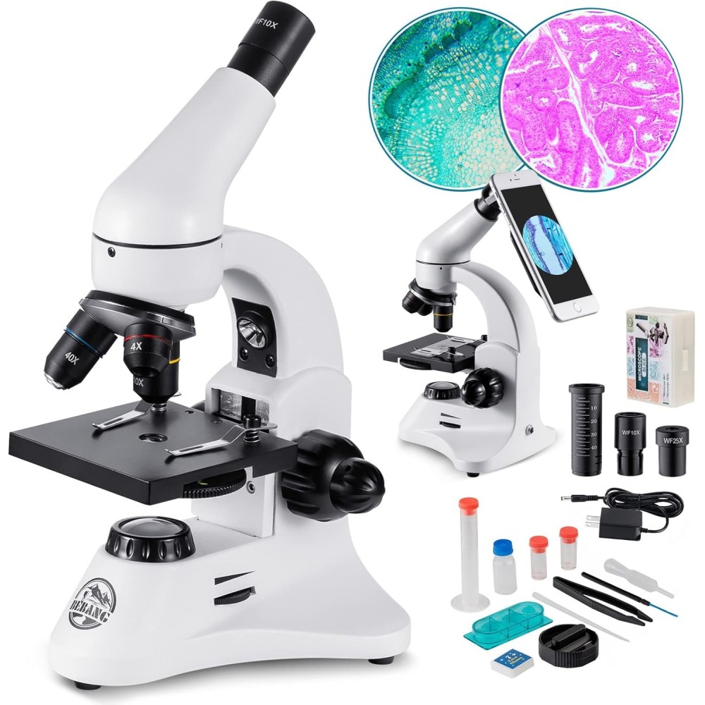 Bebang MS-2000 Microscope, 100x-2000x, smartphone tripod, flashlight