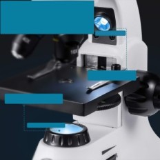 Bebang MS-2000 Microscope, 100x-2000x, smartphone-statief, zaklamp