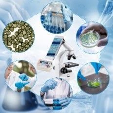 Bebang MS-2000 -mikroskooppi, 100x-2000x, älypuhelimen kolmijalka, taskulamppu