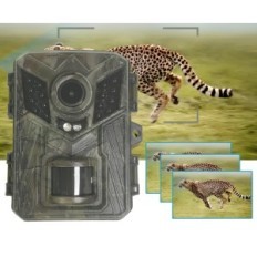 Fotolastka DL006, Κάμερα Wildlife 1080p Full HD IP66