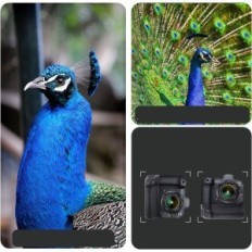 Uchwyt akumulatorowy Hersmay BG-R10 R5/R6 do Canon na dwa akumulatory LP-E6