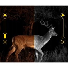 Fotoplastka Ieeker IG600, Forest Camera 4K 48MP karta 32G, výstava