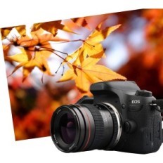 Jintelo Tele-tier 135mm F 2.8 MF UMC Compatible with Nikon cameras