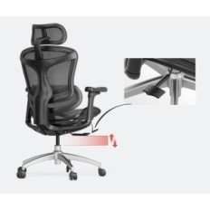 Biroja krēsls Sihoo Doro-C300L-A3-001 ar 3D roku balstiem, melns