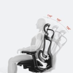 Office chair Sihoo Doro-C300L-A3-001 with 3D armrests, black