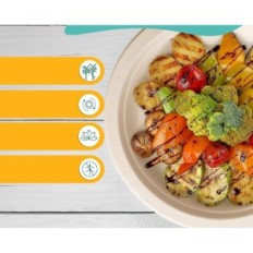 Disposable paper plates Eco Soul, 100% compostable 10 '', 1000 pcs