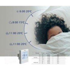 Thermostaat voor BE BOT-313 Gasketel, van Amazon Alex en Google Home