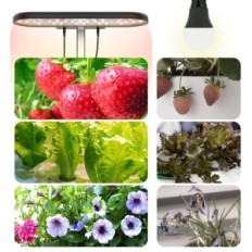 IDOO ID-IG303 Sistema de crecimiento de la planta, 10 vainas, altura 37 cm, negro