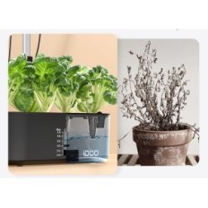 IDOO ID-IG303 Sistema di crescita dell'impianto, 10 baccelli, altezza 37 cm, nero