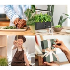 Idoo ID-IG303 Plantengroei systeem, 10 peulen, hoogte 37 cm, zwart