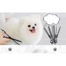 Un conjunto de tijeras para perros de recorte DRGSKL para perros y gatos, negro