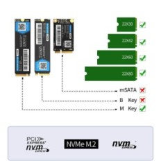 Estación de acoplamiento ORICO M2P2, M.2, 10 GB / s con clonación fuera de línea