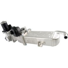 Valvola Globaloparts EGR con dispositivo di raffreddamento