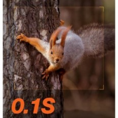 Wildlife Wildlife Kamera Izeeeker IG300 4G LTE, 2k 14 MP IR 940NM, 120 ° kulma