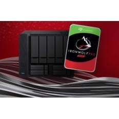 Vnitřní pevný disk Seagate Ironwolf Pro 4TB ST4000NEZ01 3,5 "Silver