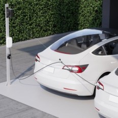 Automatic, retractable stainless steel EVIFY cable holder type 2