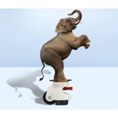 Wheels de mobiliário de Weibida, até 1500 kg, conjunto de 4 pcs, altura 10-11 cm, branco