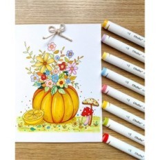 Flamers Ohuhu Y30-80402-11, een set van 120 kleuren, op basis van alcohol