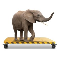 Rolls with brake in B D Weibida 4 x 100 mm, load capacity 3000 kg, 4 pieces