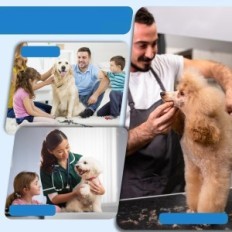 Um conjunto de tesouras para cães de recorte Jason, 6 em 1, pente