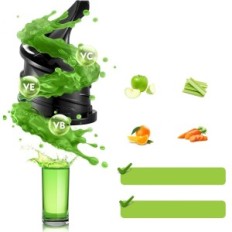 AAABOSI JUICER, 200 W, αντίστροφη λειτουργία, γκρι