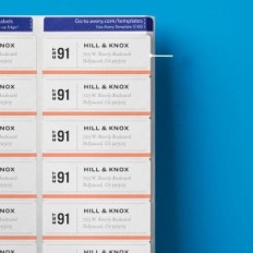 AVERY EASY PEEL AVERY Labels Durable adhesive 1 "x2-5 / 8" 3000 labels (5160)