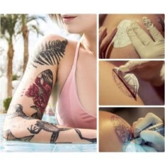 Machine pour les modèles de transfert Biomaser, 5W, 64 Mo, utilisé