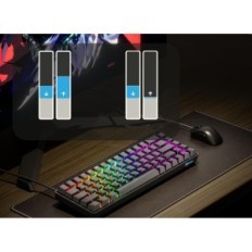 Tangentbord Rankat Master M65 He Magnetic Qwertz Mekaniska omkopplare