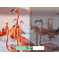 Yoton προβολέας, 4k, Full HD 1080p, WiFi, Bluetooth, Έκθεση