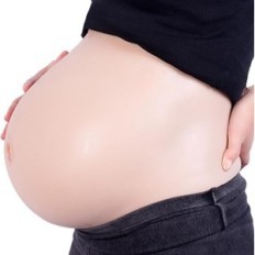 Artificial belly of Icever, 30 x 23 x 20 cm, Used