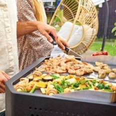 BBQ CZze Brotza 600 avec couvercle, 6,4 kW, allumage électrique, défaut