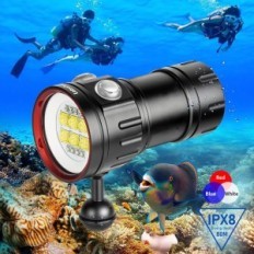 Fetletpower B24 Dive Light, 9000 lumens, 80m, for pictures underwater.