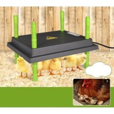 Platohiker Poulets, 25 x 30 cm