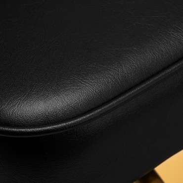 Frizerska stolica Gabbiano Linz NQ Gold Black — detaljni prikaz sjedala