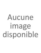 Friteuses pour beignets et poissons