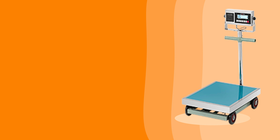 cms-banner-2
